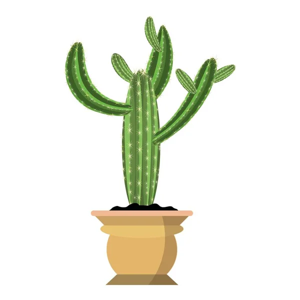 Güzel dikenleri olan kocaman yeşil bir kaktüs bitkisi. Beyaz arka planda izole edilmiş, düzgün kahverengi bir saksıda dalları olan kaktüs. Çizgi film ve ev dekorasyonu, ofis aksesuarları ve animasyon için kullanılır.