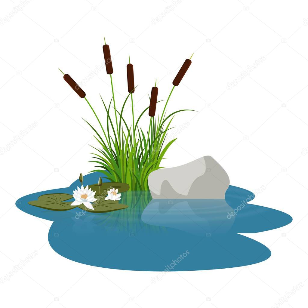 Bush reeds with lotus water lily leafes near stone on the water. Reeds stern, water lily and grey stone reflected in the lake water with water rounds. Bush reeds and stone vector on the water. Art illustration good for cartoon background or props