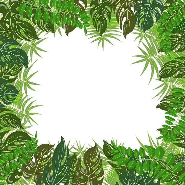 Cartel Vector Hojas Tropicales Moda Verano Tropical Naturaleza Verde Palma — Vector de stock