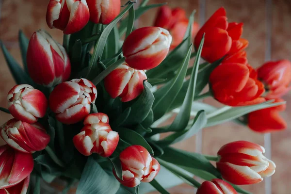 Kytice Červených Tulipánů Darck Pozadí Jarní Květiny Den Matek Pozadí — Stock fotografie