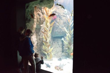 Oceanarium içinde yüzme balık Balık izlerken çocuklar