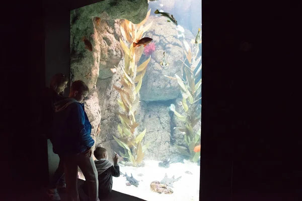 Enfants regardant le haut-fond de poissons nager dans l'océanarium — Photo