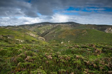 Panoramik ısmarlayarak Cape Cabo da Roca.