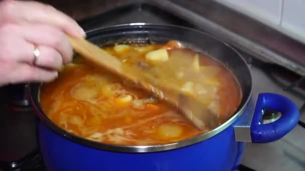 Woman stirring cooking meat stew with vegetables at home — Stock Footage Woman Stirring Cooking Meat Stew Vegetables Home Royalty Free Stock Video