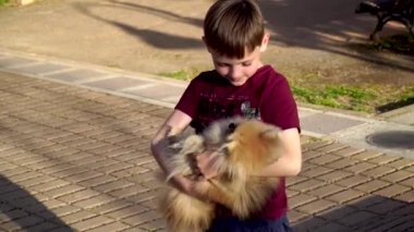 Küçük bir çocuk pomeranian Spitz yavrusu yla oynuyor. Onu sev, sarılmak ve okşayarak.