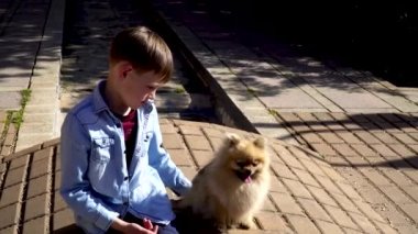 Küçük bir çocuk pomeranian Spitz yavrusu yla oynuyor. Onu sev, sarılmak ve okşayarak.
