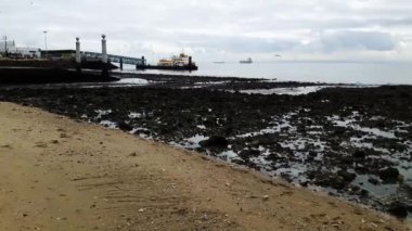 Lizbon Beach'te yaz. Sahilde güzel bir gün. Martılar uçuşuyor