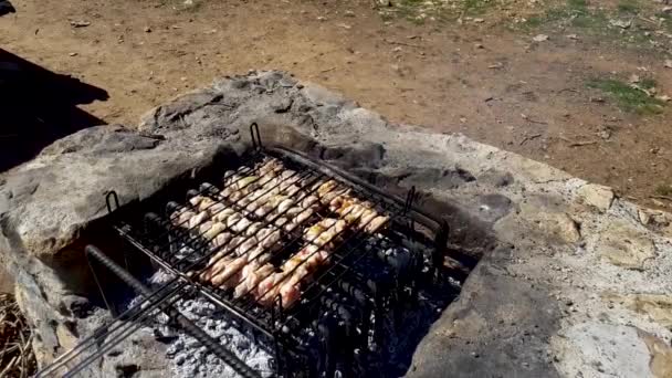 Grill Friture Viande Fraîche Barbecue Poulet Saucisse Kebab Hamburger Légumes — Video