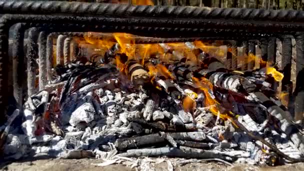 Grelha Carne Fresca Fritar Churrasco Frango Salsicha Kebab Hambúrguer Legumes — Vídeo de Stock