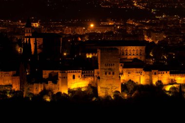Granada, İspanya'daki ünlü Alhambra sarayının görünümü