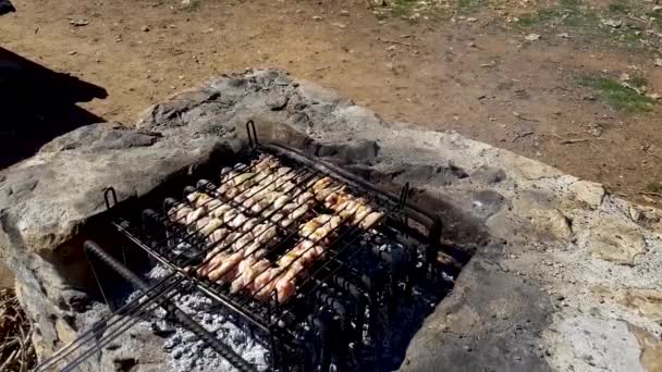 Grill Frying Fresh Meat Chicken Barbecue Sausage Kebab Hamburger Vegetables — Stock Video