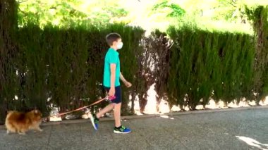 Coronavirus covid-19 konsepti. Tıbbi maskeli küçük bir çocuk bir köpekle yürüyor. Dışarıda tıbbi maske takan çocuklar. Yeni gerçeklik.