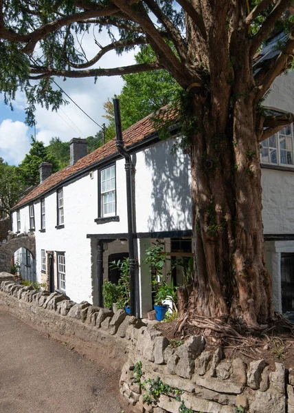 Cheddar Gorge Αγγλία Somerset — Φωτογραφία Αρχείου