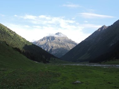 Yaz aylarında dağlar, kayalar, yeşil çalılar, ağaçlar ve otlar. Arashan gorge. Kırgızistan.