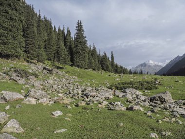 Gorge Arashan yaz manzarada. Kırgızistan.