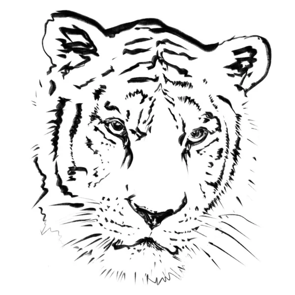 Cabeza Tigre Línea Blanco Negro Ilustración Aislada — Foto de Stock
