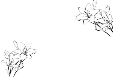 Rose siyah çizgi metin alanı mürekkebini çiz