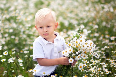 Küçük çocuk bir buket çiçegi daisy sahada