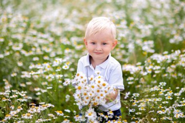 Küçük çocuk bir buket çiçegi daisy sahada