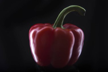 Kırmızı yetkin yakın çekim siyah arka plan üzerine