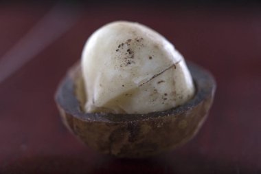 Macadamia nut makro arka plan üzerinde Kapat