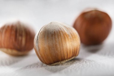 fındık arka plan üzerinde Kapat