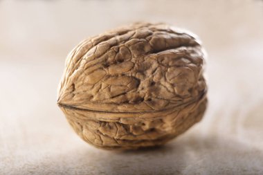 ceviz yakın odak arka plan üzerinde yukarı