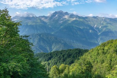 Yeşil dağlar ve ağaçların arasından arkalarındaki kar pik görünümünü. Kafkasya, Rusya Federasyonu