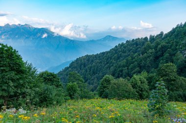 Görünümü ağaçların arasından kendi tepeler ve dağlar. Kafkasya, Rusya Federasyonu