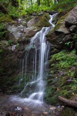 Bir şelale orman yeşil ortasında akışında