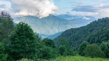 Ağaçlar, bulutlar ve sis aracılığıyla yüksek Yeşil dağlarla çevrili vadi, yüksekliğini görünümden. Çevre koruma. Arka plan seyahat. Kafkasya, Rusya Federasyonu