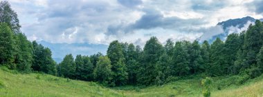 Orman ve mesafe bulutlarda yüksek dağlarda çevrili dağ çayır. Görkemli dağ manzarası. Çevre koruma. Arka plan seyahat. Kafkasya, Rusya Federasyonu