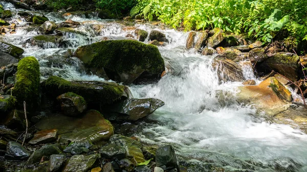 Rápido Arroyo Montaña Con Piedras Rodeado Vegetación Cascada Pequeñas Cascadas — Foto de Stock