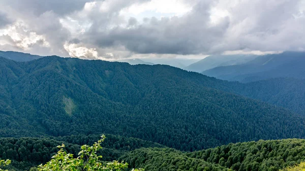 山岭被茂密的云朵所覆盖的森林覆盖着 主要的高加索山脊 旅行背景 高加索 俄罗斯 — 图库照片