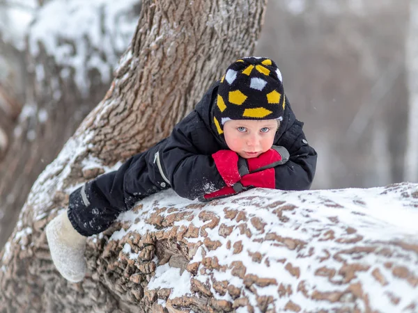 Bambino Con Gli Stivali Feltro Sdraiato Grande Albero Caduto Inverno — Foto Stock