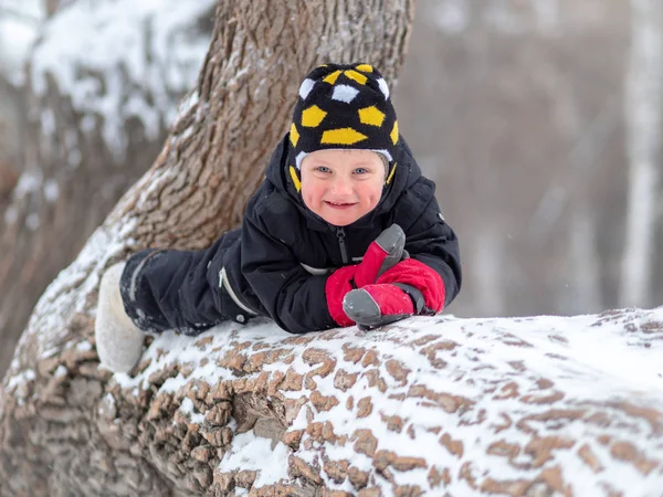 Bambino Con Gli Stivali Feltro Con Sorriso Sdraiato Grande Albero — Foto Stock