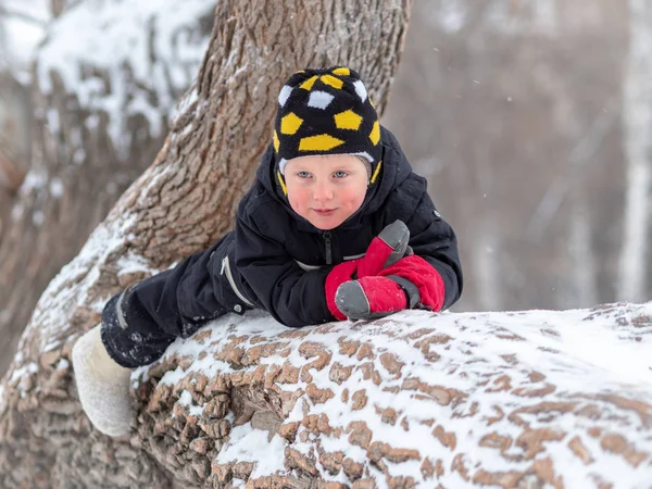 Bambino Con Gli Stivali Feltro Sdraiato Grande Albero Caduto Inverno — Foto Stock