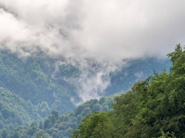Bir şelale ve kalın sis Peaks'e yeşil dağların muhteşem manzarası.