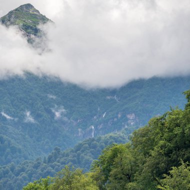 Bir şelale ve kalın sis Peaks'e yeşil dağların muhteşem manzarası.