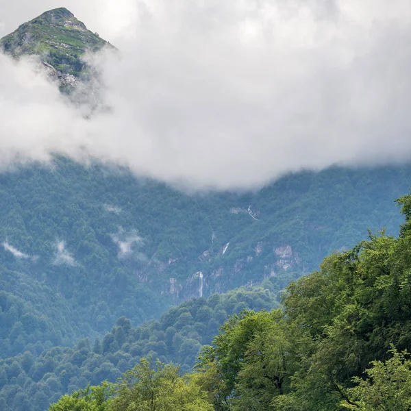 Bir şelale ve kalın sis Peaks'e yeşil dağların muhteşem manzarası.