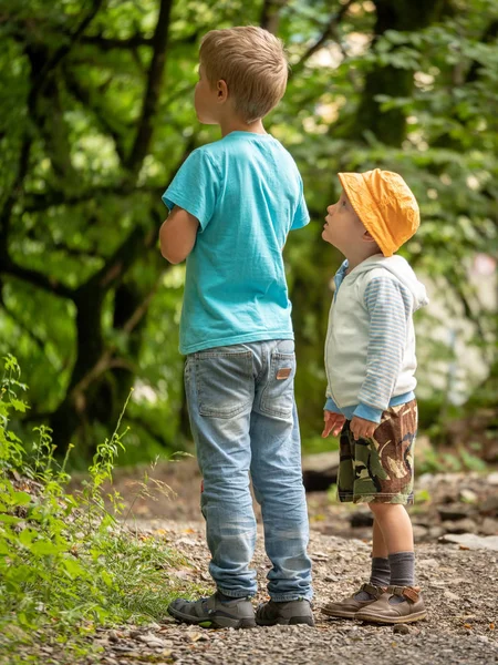 Two boys on the path in the green forest look one way