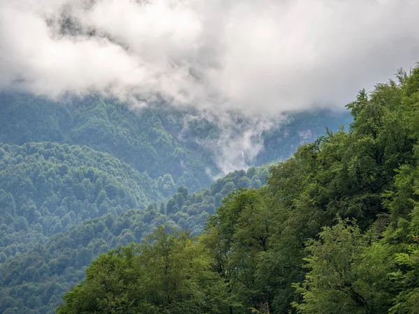 Bir şelale ve kalın sis Peaks'e yeşil dağların muhteşem manzarası.