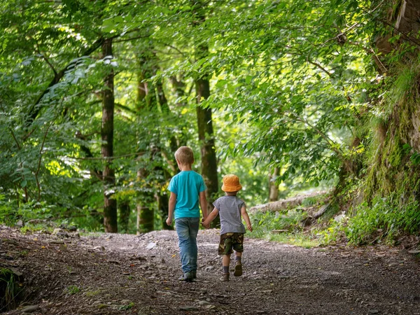 Zwei Jungen Gehen Den Weg Grünen Wald Entlang Und Halten — Stockfoto