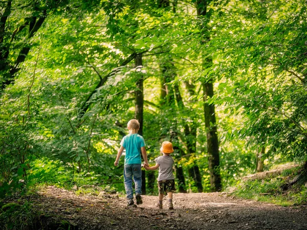 Two boys go along the path in the green forest and hold hands. Responsible older brother leads the youngest along a forest trail. The road runs far.