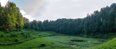 Bataklık göl saz ile büyümüş panoramik manzaralı