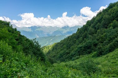 Dağların yeşil yamacı, yüksek dağlarla çevrili, Vadi'ye iniyor. Caucasus, Rusya Federasyonu