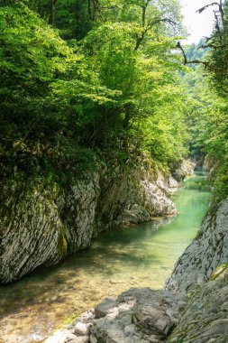 Kayalık yamaçlarda ve güneşli bir gün, yeşil ağaçlar ile Kanyon nehirde dağ