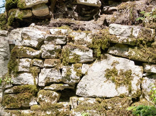 Руины Каменных Стен Древней Крепости Заросшие Мосс — стоковое фото
