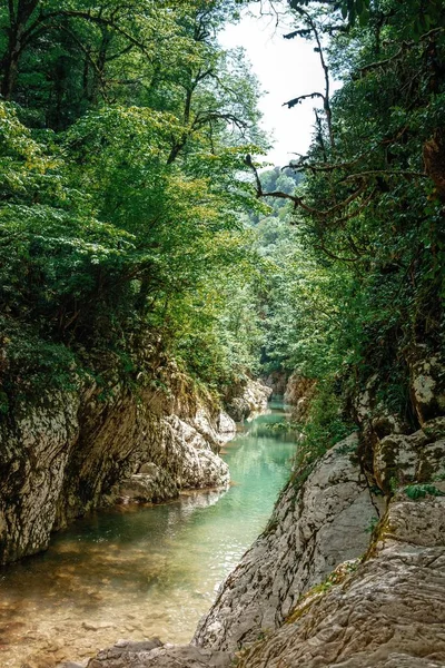 Kayalık yamaçlarda ve güneşli bir gün, yeşil ağaçlar ile Kanyon nehirde dağ