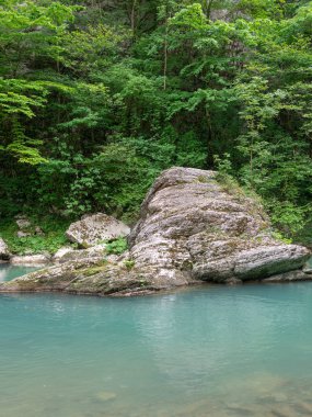 Taş taş turkuaz su yeşil kıyıları ile sakin dağ nehir